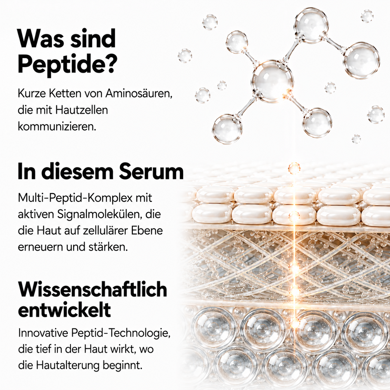 Peptid Booster Serum